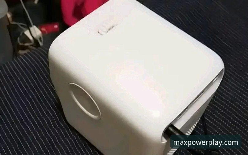 揭秘万博最新版下载背后的真相：老用户亲测MAX版体验，这些细节你一定不知道